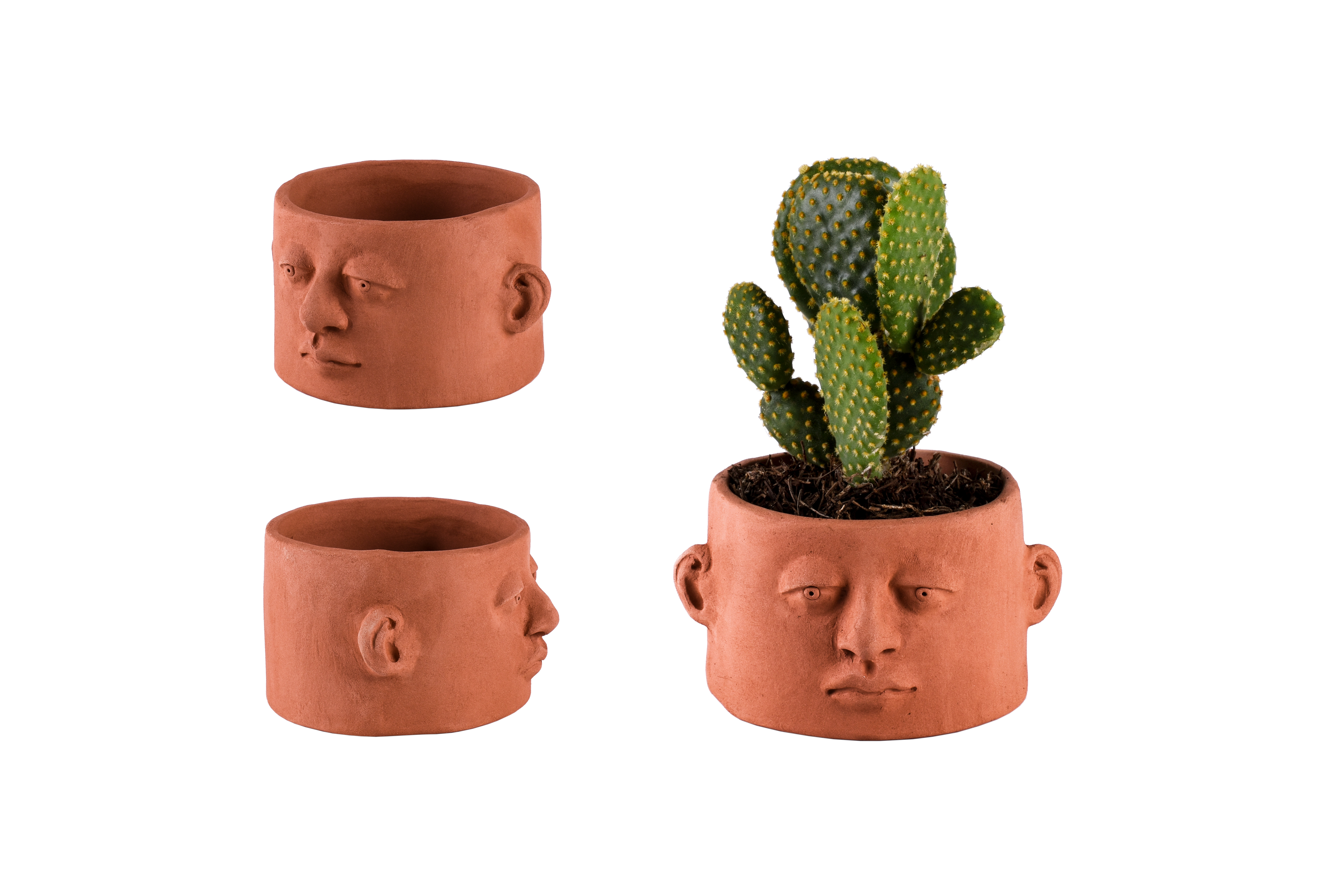 Headplanter Chaparra Roja - Headplanter